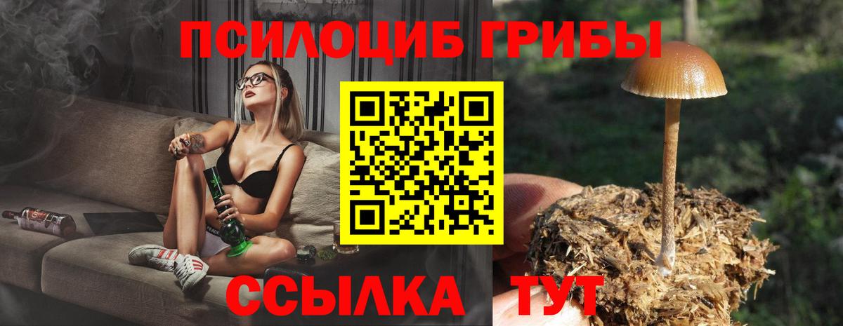 Волгоград  Галлюциногенные грибы GOLDEN TEACHER  наркошоп  Галлюциногенные грибы Psilocybine cubensis  Вход с VPN 